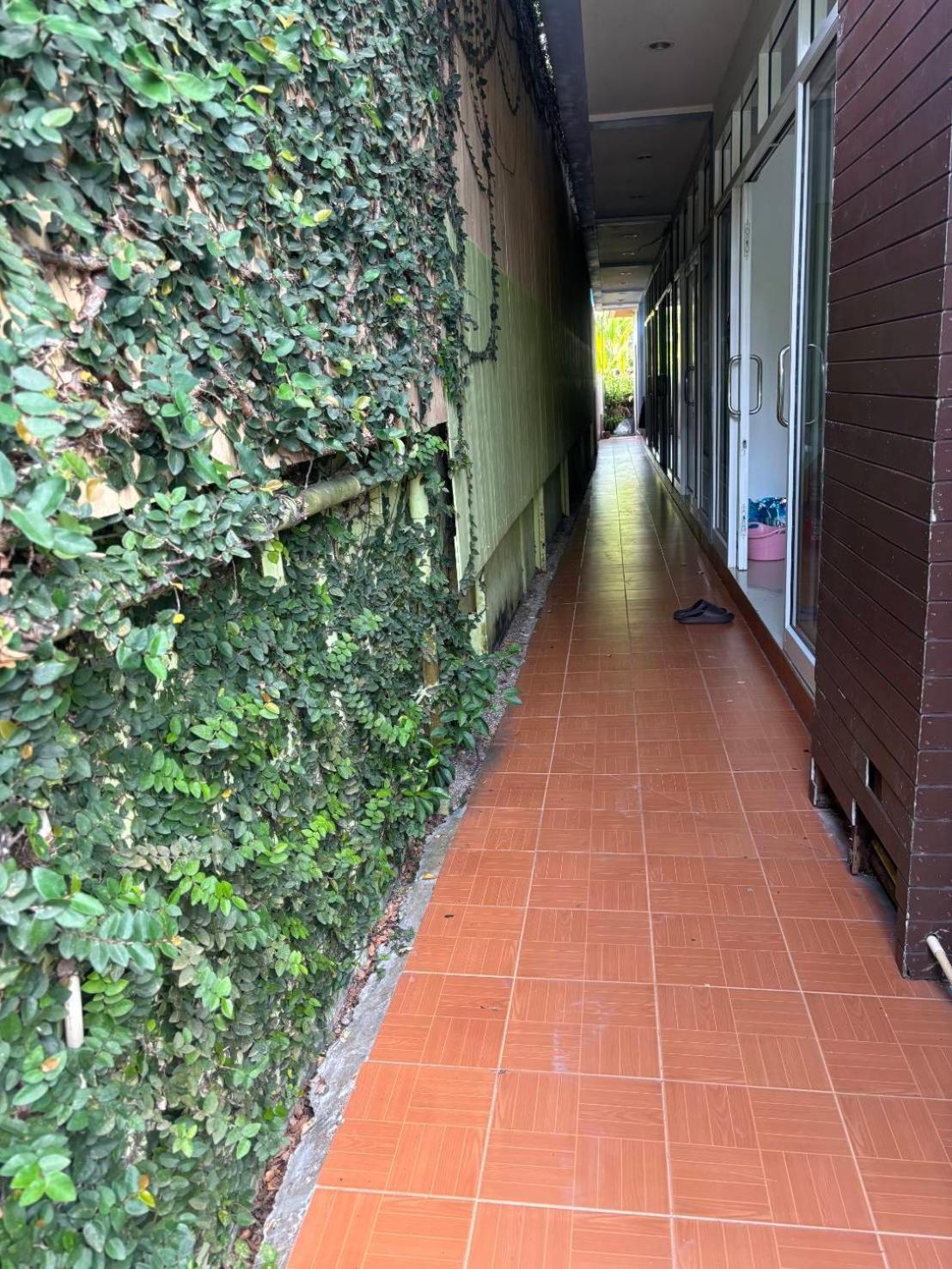 Hotel Rung Phangan บ้านใต้ ภายนอก รูปภาพ